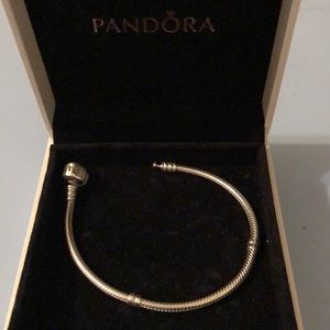 Pandora bracelet